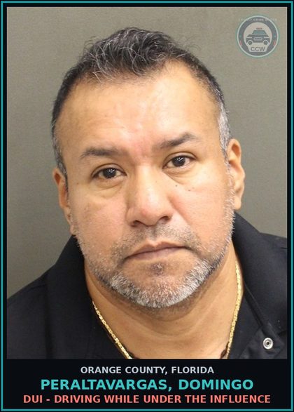 CCW arrest card for PERALTAVARGAS, DOMINGO in Orange County: MOVING TRAFFIC VIOL-OPERATE MOTOR VEHICLE W/O VALID LIC 1ST CONV