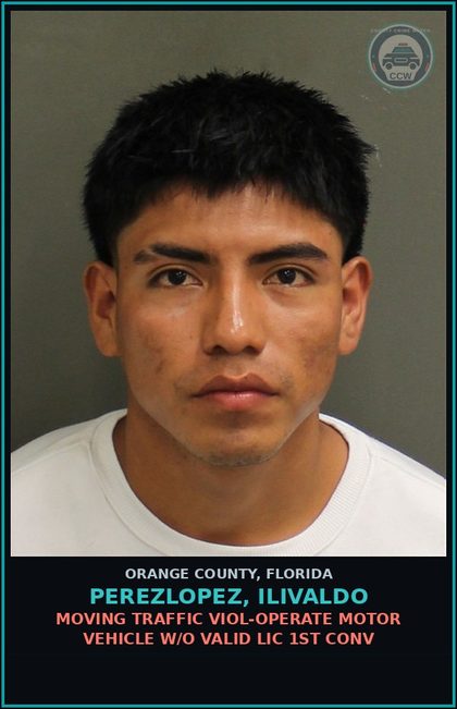 CCW arrest card for PEREZLOPEZ, ILIVALDO in Orange County: MOVING TRAFFIC VIOL-OPERATE MOTOR VEHICLE W/O VALID LIC 1ST CONV