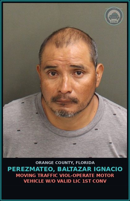CCW arrest card for PEREZMATEO, BALTAZAR IGNACIO in Orange County: MOVING TRAFFIC VIOL-OPERATE MOTOR VEHICLE W/O VALID LIC 1ST CONV