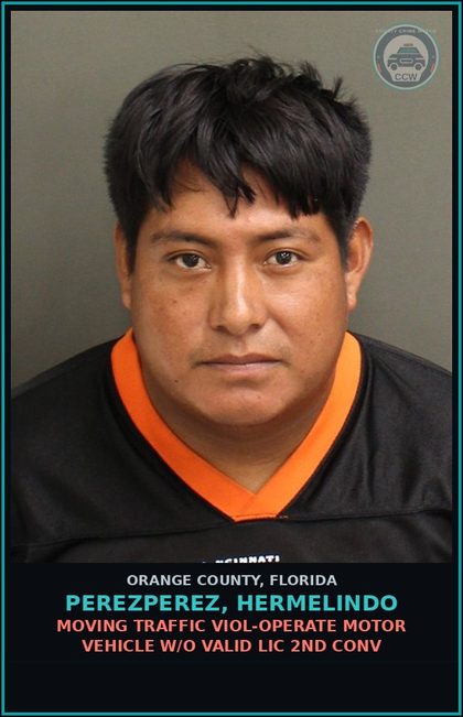 CCW arrest card for PEREZPEREZ, HERMELINDO in Orange County: MOVING TRAFFIC VIOL-OPERATE MOTOR VEHICLE W/O VALID LIC 2ND CONV