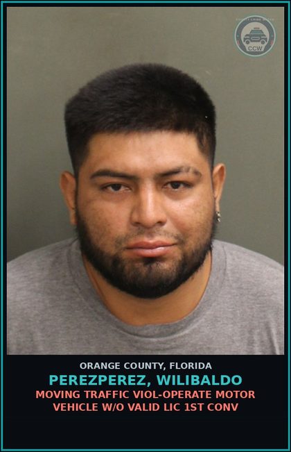 CCW arrest card for PEREZPEREZ, WILIBALDO in Orange County: MOVING TRAFFIC VIOL-OPERATE MOTOR VEHICLE W/O VALID LIC 1ST CONV