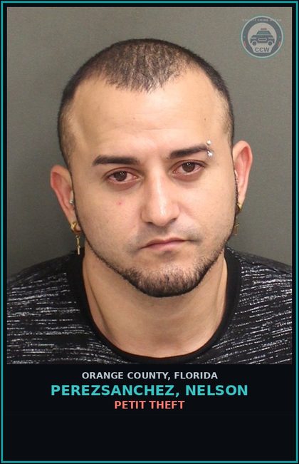 CCW arrest card for PEREZSANCHEZ, NELSON in Orange County: PETIT THEFT