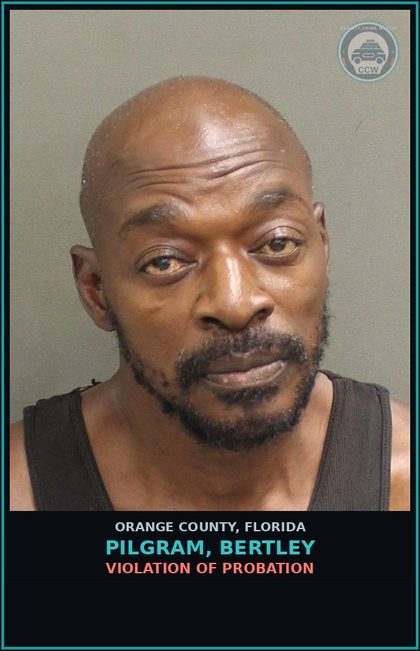 CCW arrest card for PILGRAM, BERTLEY in Orange County: VIOLATION OF PROBATION