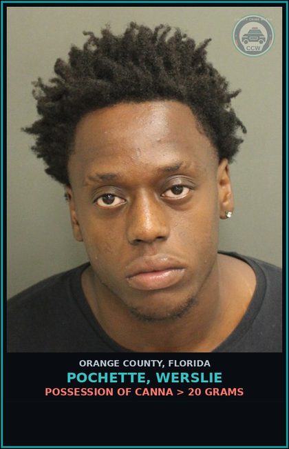 CCW arrest card for POCHETTE, WERSLIE in Orange County: POSSESSION OF Canna > 20 GRAMS