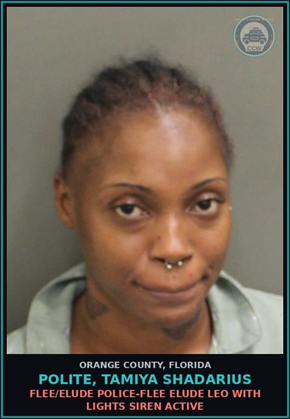 CCW arrest card for POLITE, TAMIYA SHADARIUS in Orange County: FLEE/ELUDE POLICE-FLEE ELUDE LEO WITH LIGHTS SIREN ACTIVE