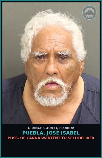 CCW arrest card for PUEBLA, JOSE ISABEL in Orange County: POSS. OF Canna W/INTENT TO SELL/DELIVER