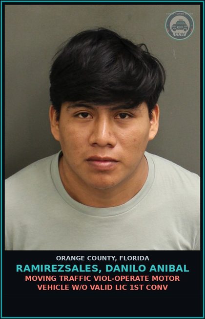 CCW arrest card for RAMIREZSALES, DANILO ANIBAL in Orange County: MOVING TRAFFIC VIOL-OPERATE MOTOR VEHICLE W/O VALID LIC 1ST CONV
