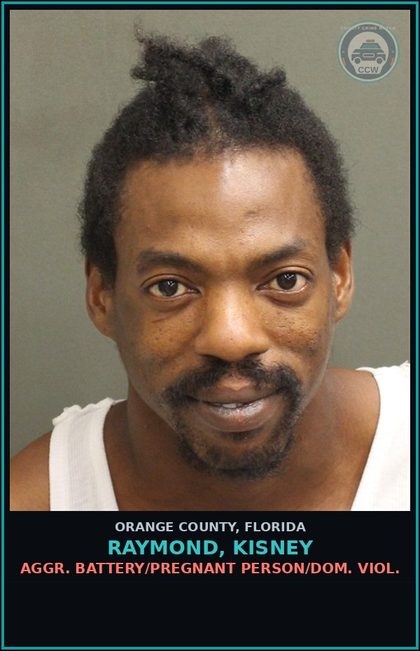 CCW arrest card for RAYMOND, KISNEY in Orange County: AGGR. BATTERY/PREGNANT PERSON/DOM. VIOL.