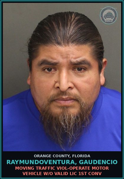 CCW arrest card for RAYMUNDOVENTURA, GAUDENCIO in Orange County: MOVING TRAFFIC VIOL-OPERATE MOTOR VEHICLE W/O VALID LIC 1ST CONV