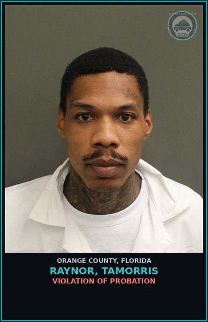 CCW arrest card for RAYNOR, TAMORRIS in Orange County: VIOLATION OF PROBATION