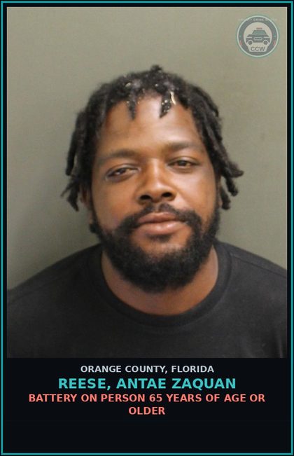 CCW arrest card for REESE, ANTAE ZAQUAN in Orange County: PETIT THEFT