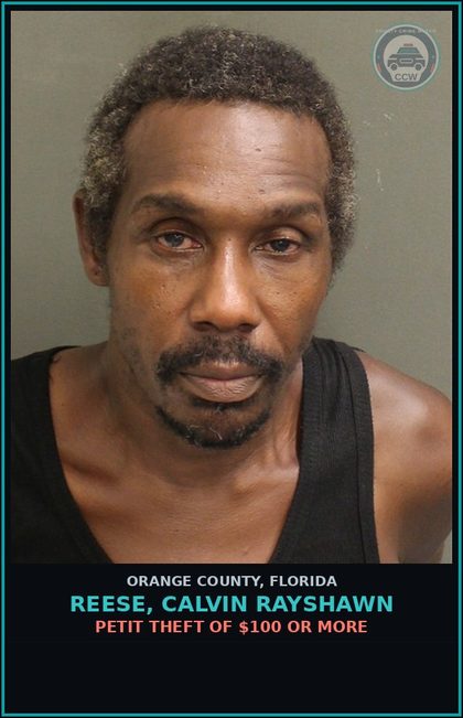 CCW arrest card for REESE, CALVIN RAYSHAWN in Orange County: PETIT THEFT OF $100 OR MORE