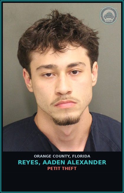 CCW arrest card for REYES, AADEN ALEXANDER in Orange County: PETIT THEFT
