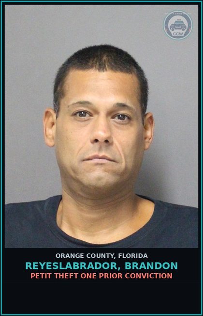 CCW arrest card for REYESLABRADOR, BRANDON in Orange County: RESISTING A MERCHANT
