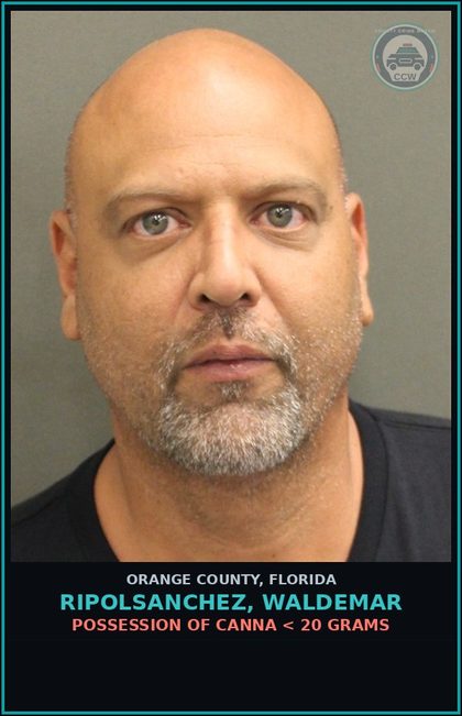 CCW arrest card for RIPOLSANCHEZ, WALDEMAR in Orange County: VIOLATION OF PROBATION