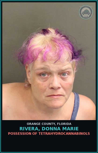 CCW arrest card for RIVERA, DONNA MARIE in Orange County: CONTRIBUTING TO THE DELINQUENCY OF A MINOR