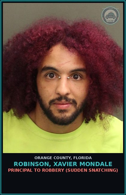 CCW arrest card for ROBINSON, XAVIER MONDALE in Orange County: BATTERY (DOMESTIC VIOLENCE)