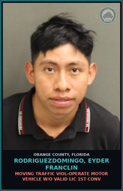 CCW arrest card for RODRIGUEZDOMINGO, EYDER FRANCLIN in Orange County: MOVING TRAFFIC VIOL-OPERATE MOTOR VEHICLE W/O VALID LIC 1ST CONV