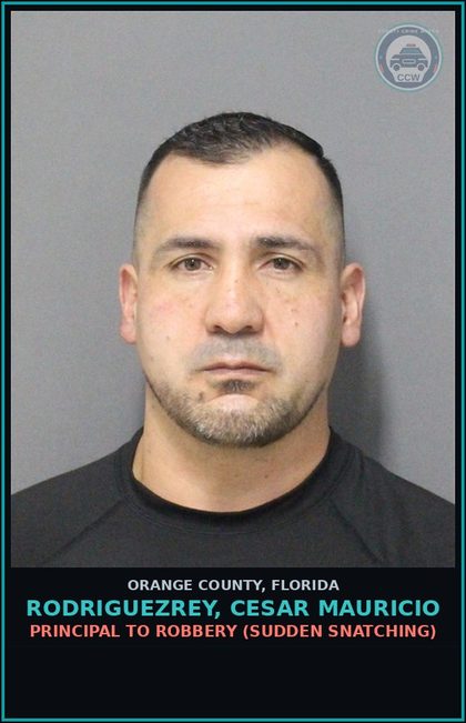 CCW arrest card for RODRIGUEZREY, CESAR MAURICIO in Orange County: BATTERY (DOMESTIC VIOLENCE)