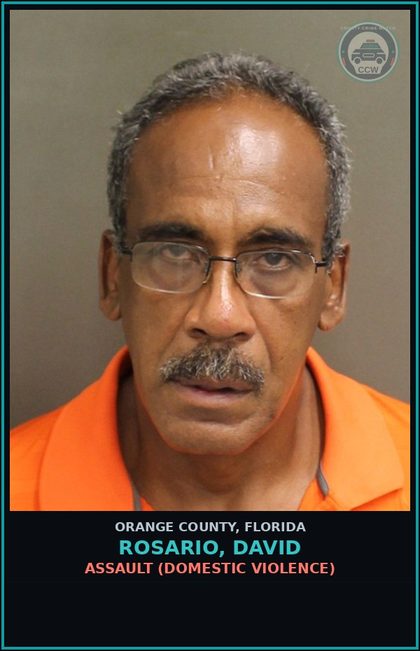 CCW arrest card for ROSARIO, DAVID in Orange County: POSS 3,4-METHYLEN.-METHAMP. (MDMA/ECSTASY)