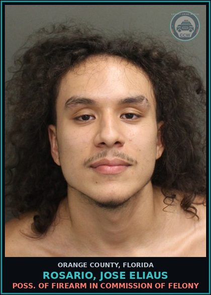 CCW arrest card for ROSARIO, JOSE ELIAUS in Orange County: AGGR. FLEE/ATT ELUDE A LEO W/INJ/PROP.DAM.