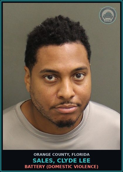 CCW arrest card for SALES, CLYDE LEE in Orange County: BATTERY (DOMESTIC VIOLENCE)