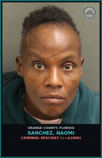 CCW arrest card for SANCHEZ, NAOMI in Orange County: CRIMINAL MISCHIEF (>=$1000)