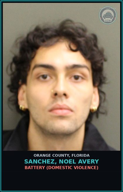 CCW arrest card for SANCHEZ, NOEL AVERY in Orange County: BATTERY (DOMESTIC VIOLENCE)