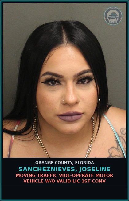 CCW arrest card for SANCHEZNIEVES, JOSELINE in Orange County: MOVING TRAFFIC VIOL-OPERATE MOTOR VEHICLE W/O VALID LIC 1ST CONV