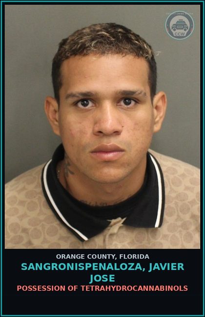 CCW arrest card for SANGRONISPENALOZA, JAVIER JOSE in Orange County: RESISTING OFFICER WITHOUT VIOLENCE