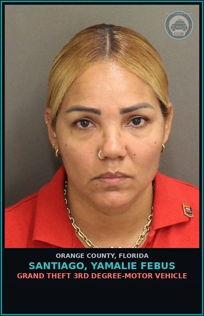 CCW arrest card for SANTIAGO, YAMALIE FEBUS in Orange County: GRAND THEFT 3RD DEGREE-MOTOR VEHICLE