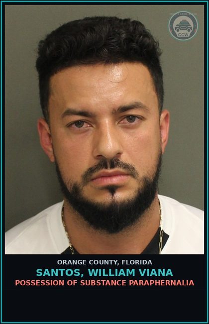 CCW arrest card for SANTOS, WILLIAM VIANA in Orange County: PETIT THEFT