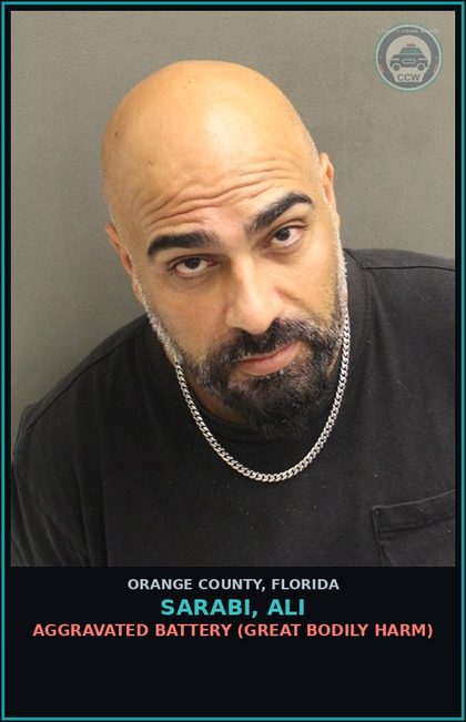 CCW arrest card for SARABI, ALI in Orange County: CRIMINAL MISCHIEF (>=$1000)