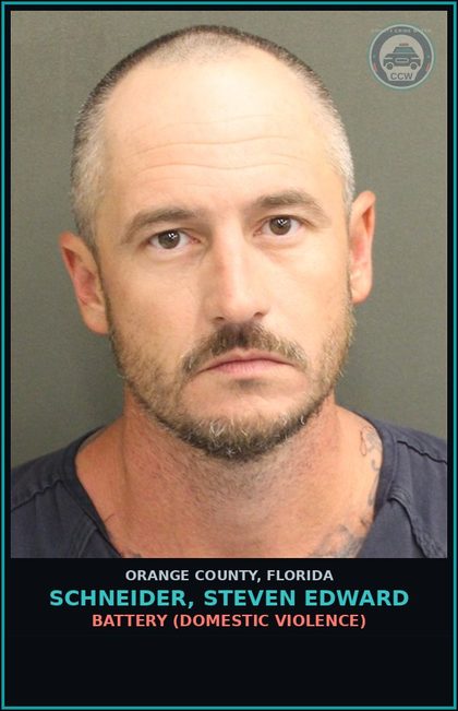 CCW arrest card for SCHNEIDER, STEVEN EDWARD in Orange County: BATTERY (DOMESTIC VIOLENCE)