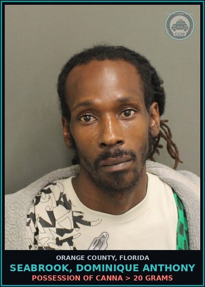 CCW arrest card for SEABROOK, DOMINIQUE ANTHONY in Orange County: POSSESSION OF Canna > 20 GRAMS