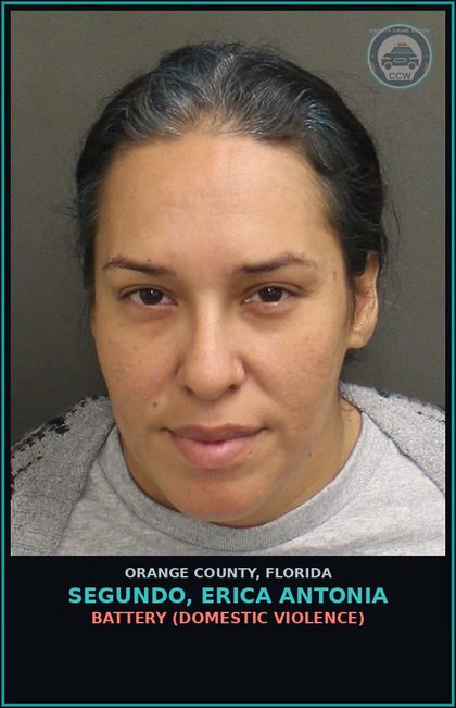 CCW arrest card for SEGUNDO, ERICA ANTONIA in Orange County: BATTERY (DOMESTIC VIOLENCE)