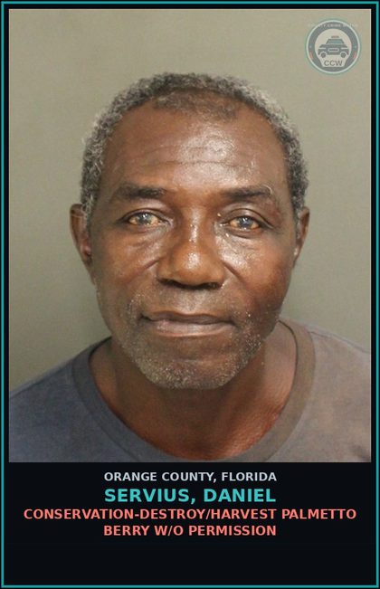 CCW arrest card for SERVIUS, DANIEL in Orange County: CONSERVATION-DESTROY/HARVEST PALMETTO BERRY W/O PERMISSION