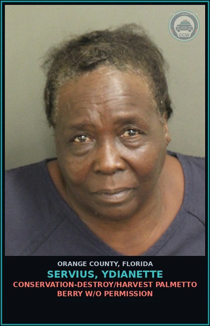 CCW arrest card for SERVIUS, YDIANETTE in Orange County: CONSERVATION-DESTROY/HARVEST PALMETTO BERRY W/O PERMISSION