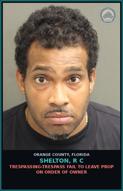 CCW arrest card for SHELTON, R C in Orange County: DWLSR REVOCATION EQUIV STATUS (2 PRIOR) (10 DAYS MIN. MAND)