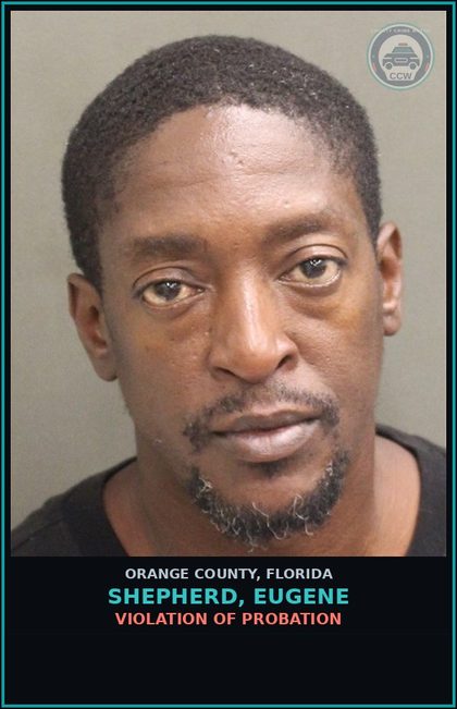 CCW arrest card for SHEPHERD, EUGENE in Orange County: VIOLATION OF PROBATION
