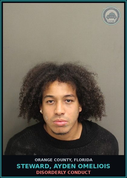 CCW arrest card for STEWARD, AYDEN OMELIOIS in Orange County: DISORDERLY CONDUCT