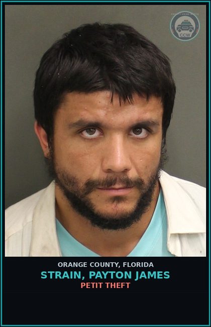 CCW arrest card for STRAIN, PAYTON JAMES in Orange County: PETIT THEFT