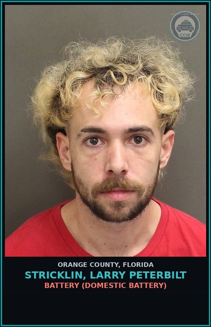 CCW arrest card for STRICKLIN, LARRY PETERBILT in Orange County: BATTERY (DOMESTIC BATTERY)