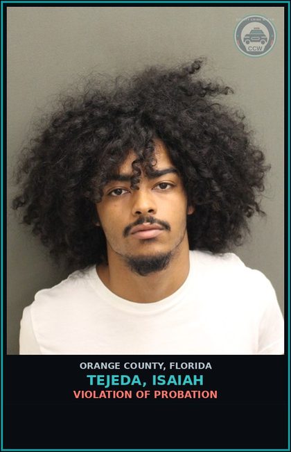 CCW arrest card for TEJEDA, ISAIAH in Orange County: VIOLATION OF PROBATION