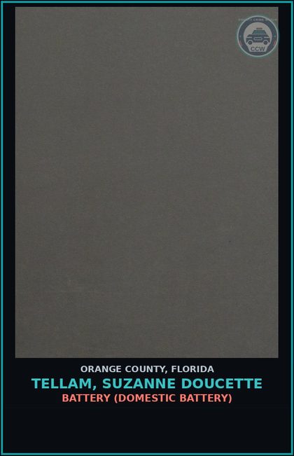 CCW arrest card for TELLAM, SUZANNE DOUCETTE in Orange County: BATTERY (DOMESTIC BATTERY)