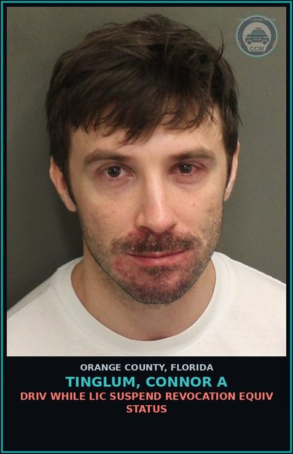CCW arrest card for TINGLUM, CONNOR A in Orange County: DRIV WHILE LIC SUSPEND REVOCATION EQUIV STATUS