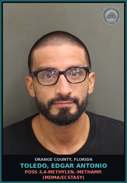 CCW arrest card for TOLEDO, EDGAR ANTONIO in Orange County: POSS 3,4-METHYLEN.-METHAMP. (MDMA/ECSTASY)