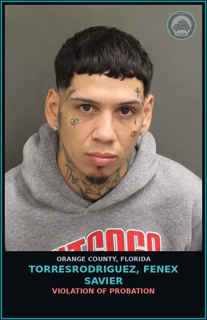 CCW arrest card for TORRESRODRIGUEZ, FENEX SAVIER in Orange County: VIOLATION OF PROBATION