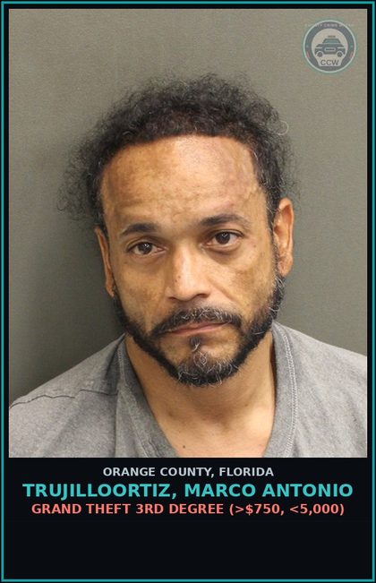 CCW arrest card for TRUJILLOORTIZ, MARCO ANTONIO in Orange County: GRAND THEFT 3RD DEGREE (>$750, <5,000)
