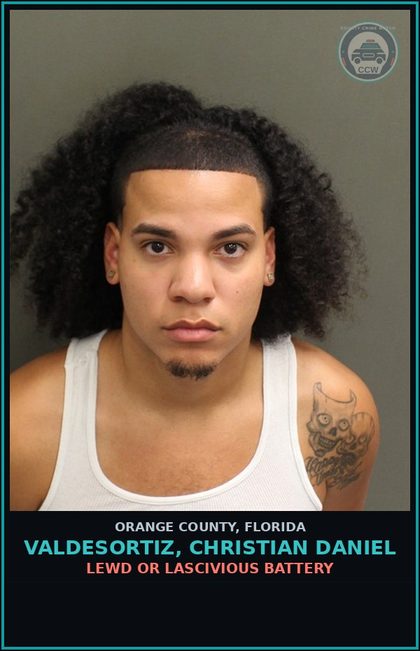 CCW arrest card for VALDESORTIZ, CHRISTIAN DANIEL in Orange County: LEWD OR LASCIVIOUS BATTERY